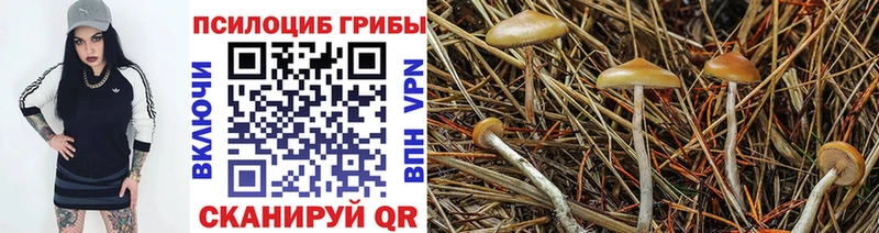 Галлюциногенные грибы мицелий  Кохма 