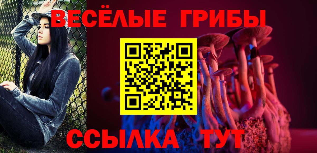 Галлюциногенные грибы Magic Shrooms  Вход с VPN  Кохма 